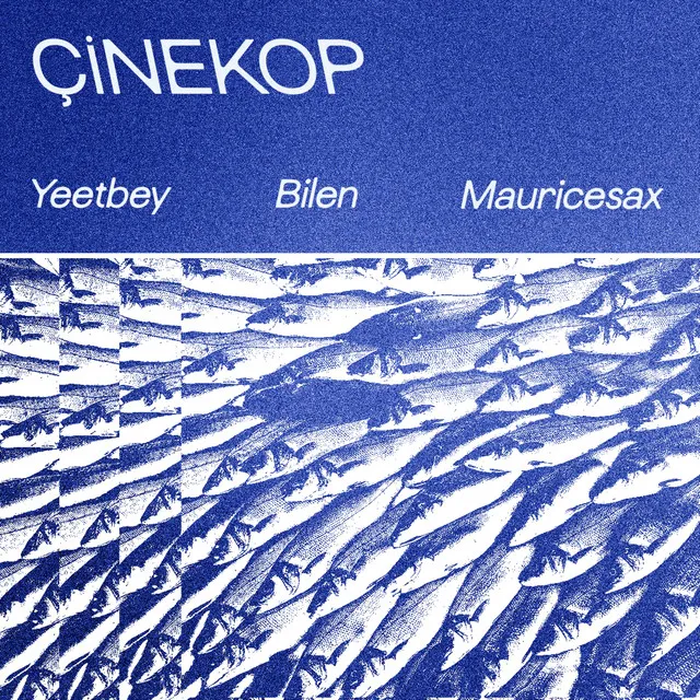 Çinekop